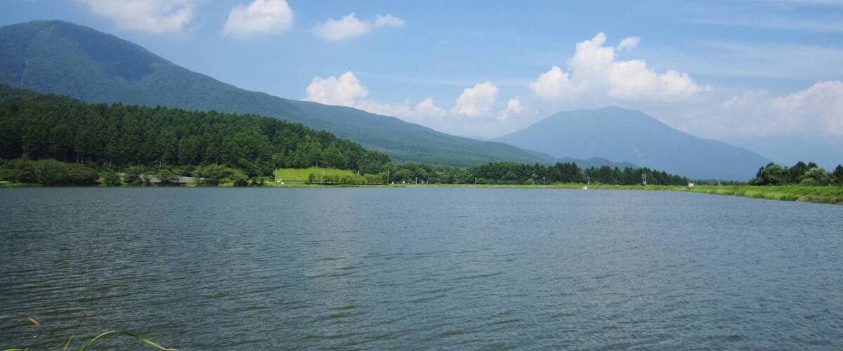 A calm lake with a forested mountain range in the background.