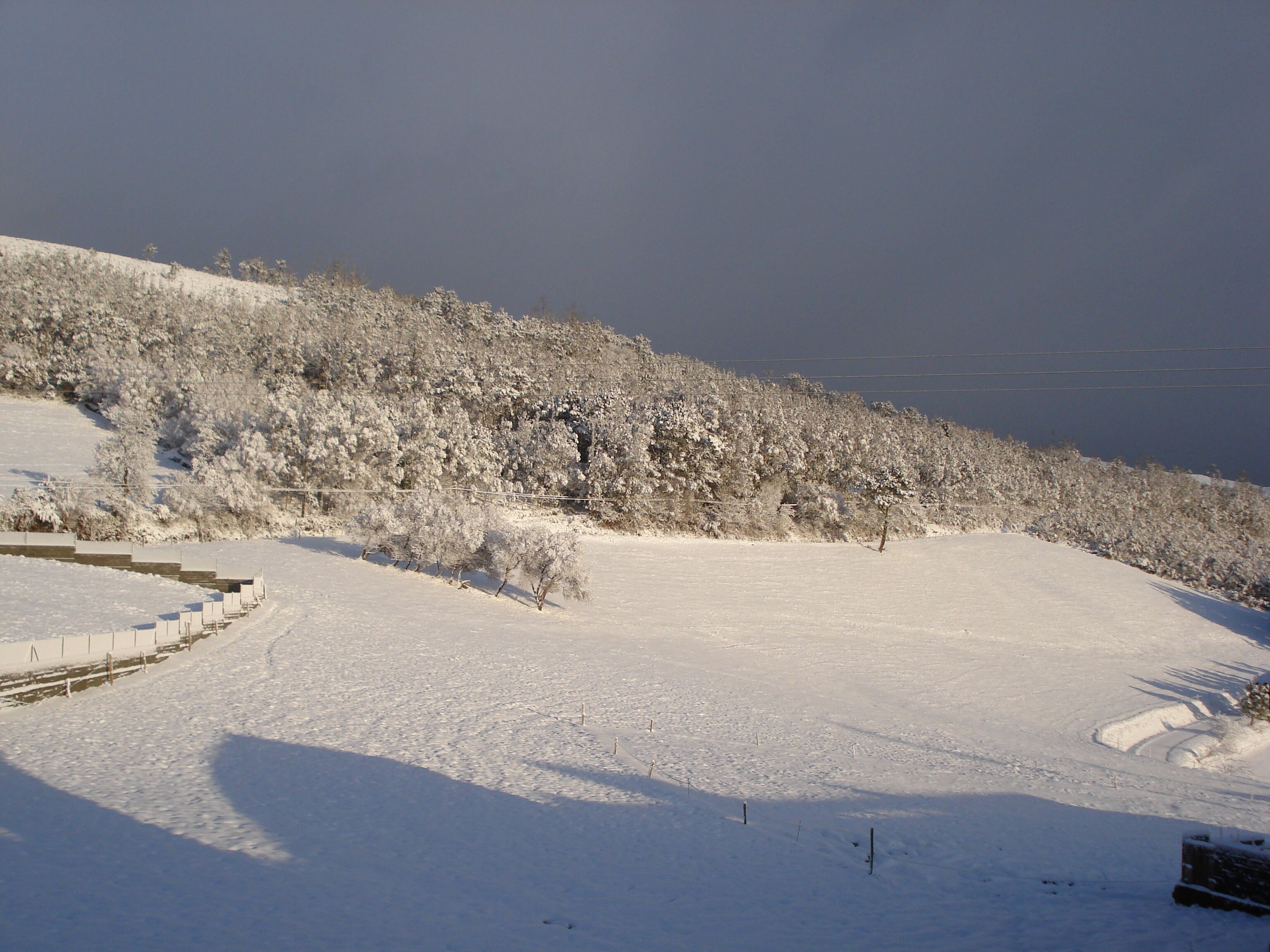 A snow-covered landscape with a clear sky, a fence, and trees.