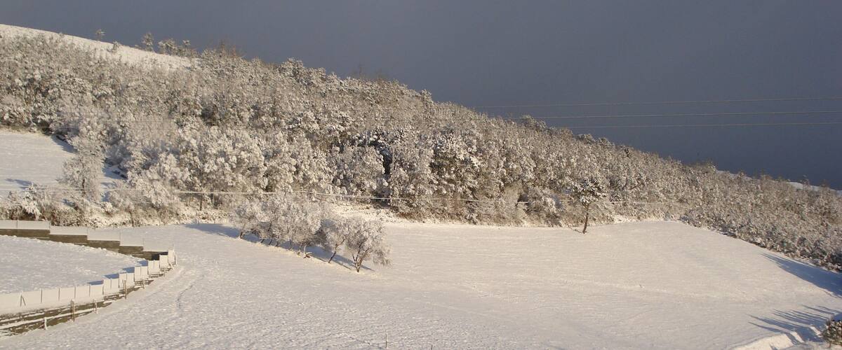 A snow-covered landscape with a clear sky, a fence, and trees.