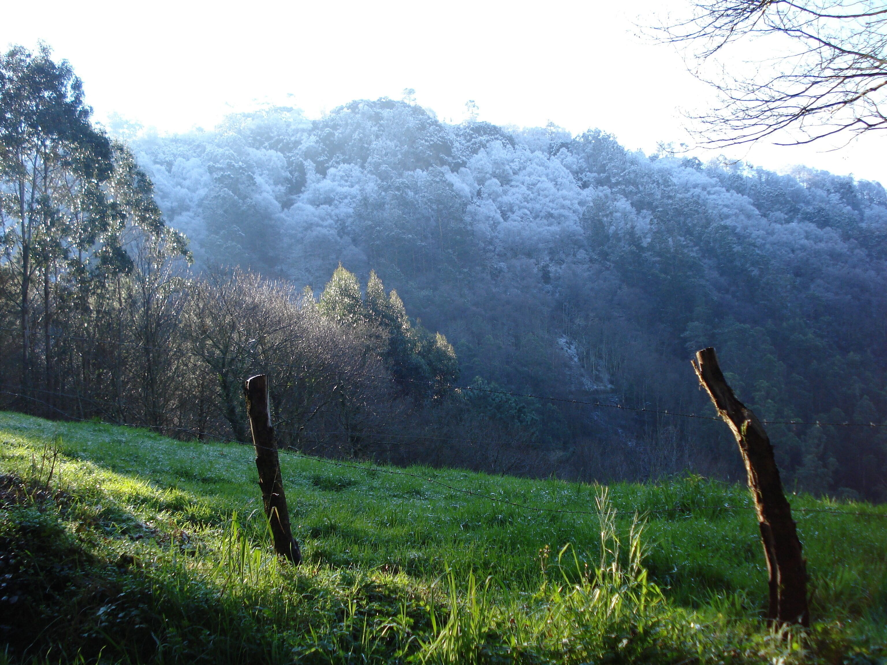 Mondoñedo, Lugo, Spain