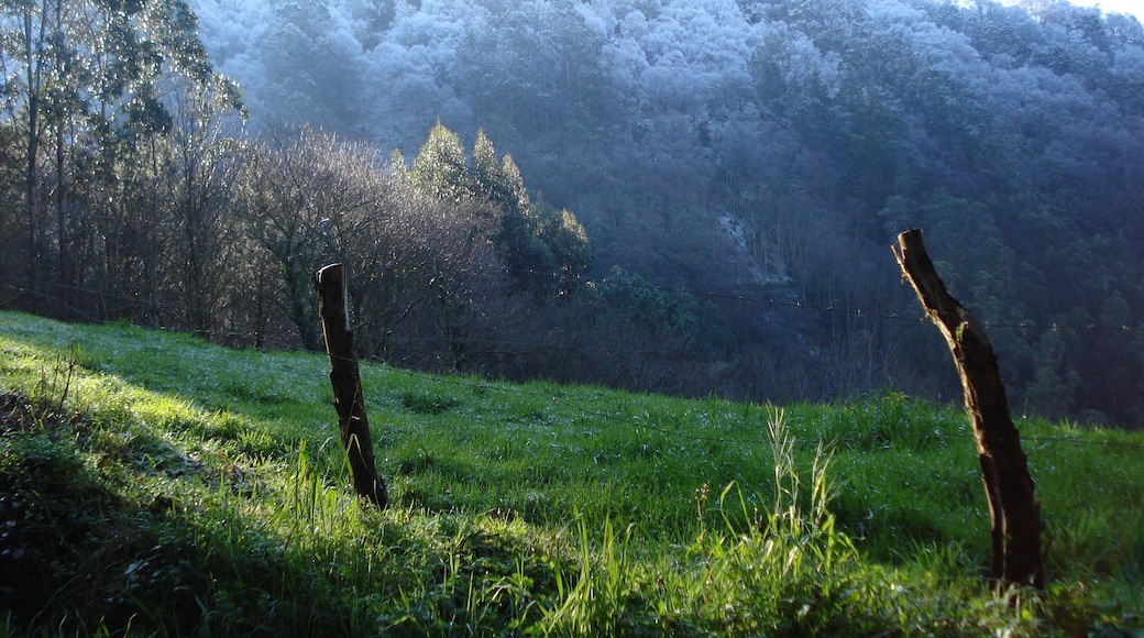 Mondoñedo, Lugo, Spain