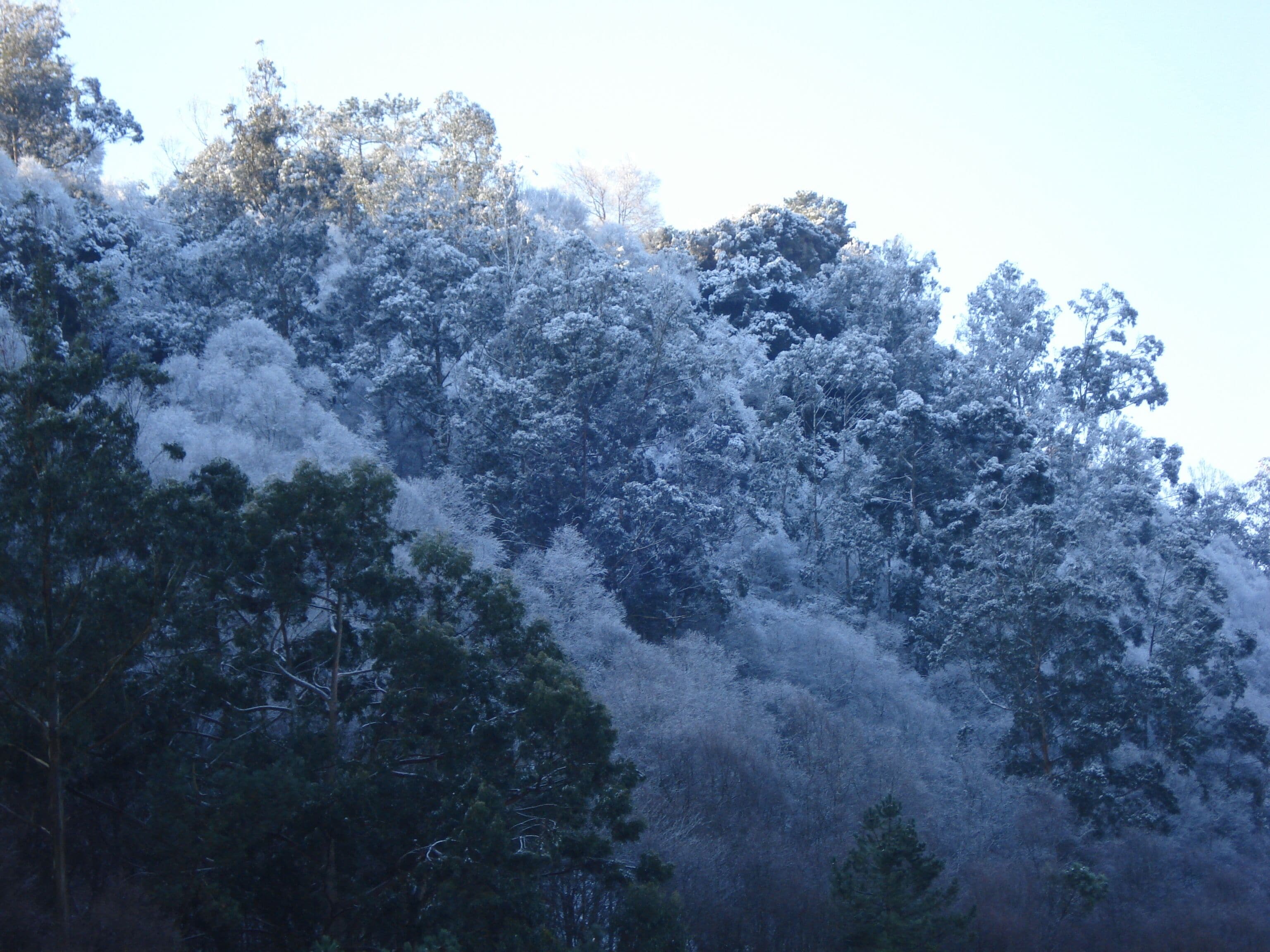 Mondoñedo, Lugo, Spain