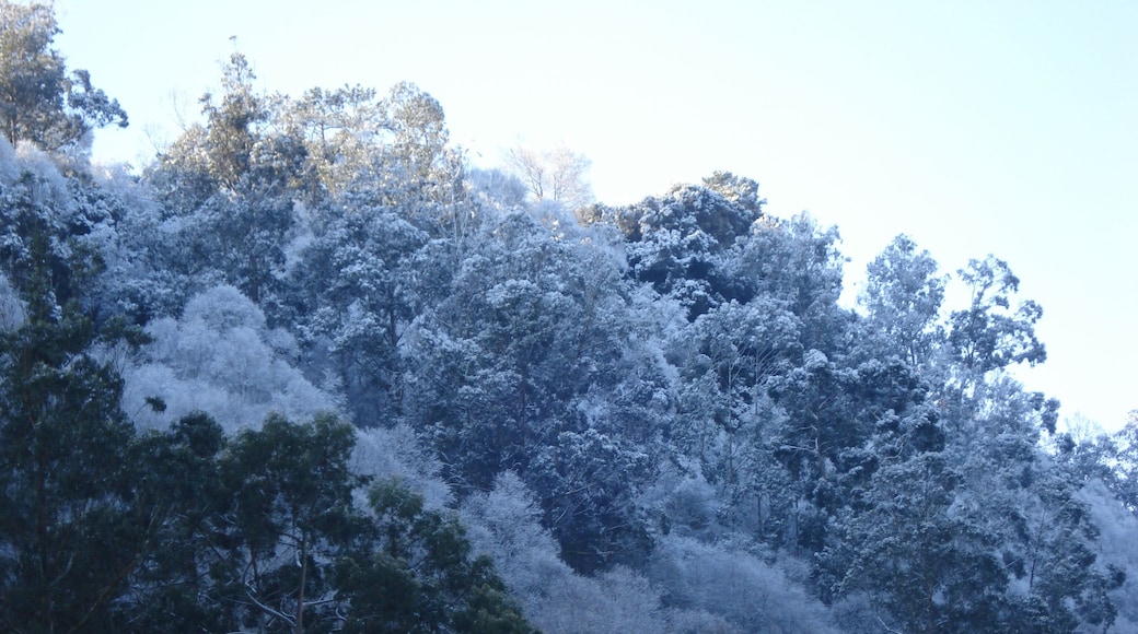 Mondoñedo, Lugo, Spain