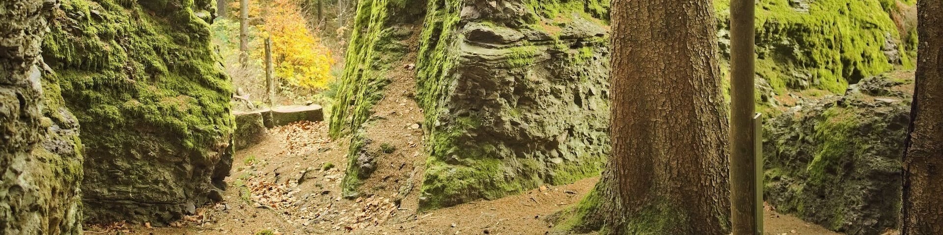 Hiking at Rennsteig along Schröderfelsen.