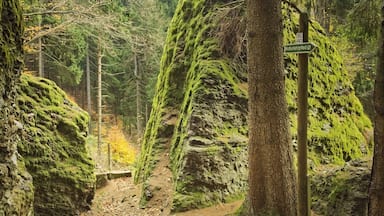Hiking at Rennsteig along Schröderfelsen.