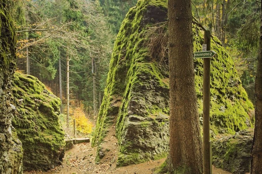 Hiking at Rennsteig along Schröderfelsen.