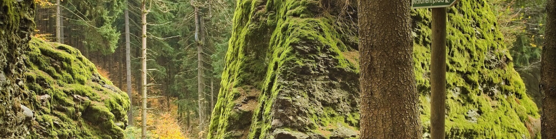 Hiking at Rennsteig along Schröderfelsen.