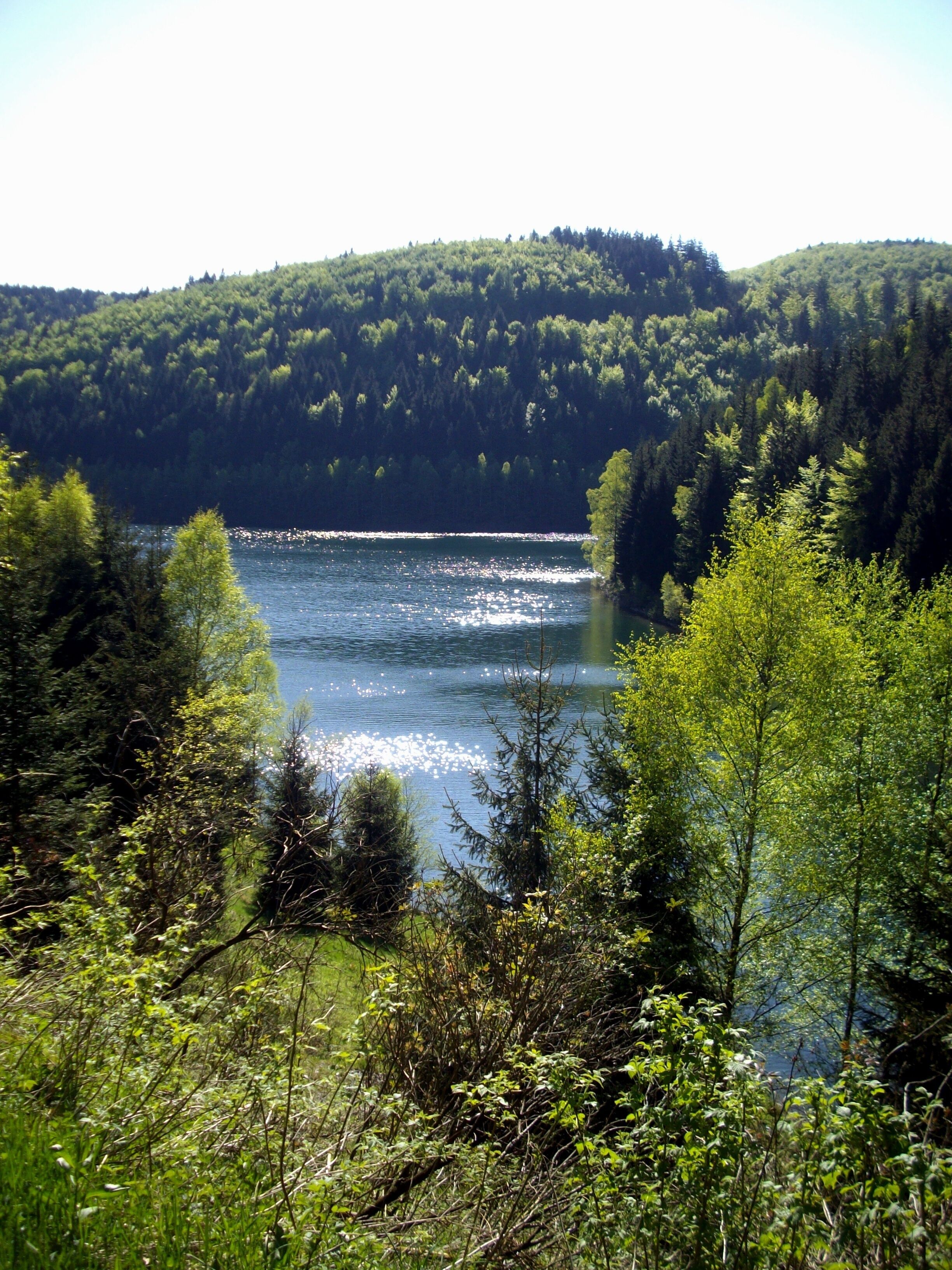 Talsperre Schönbrunn