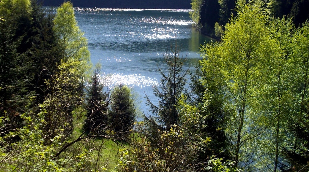 Talsperre Schönbrunn