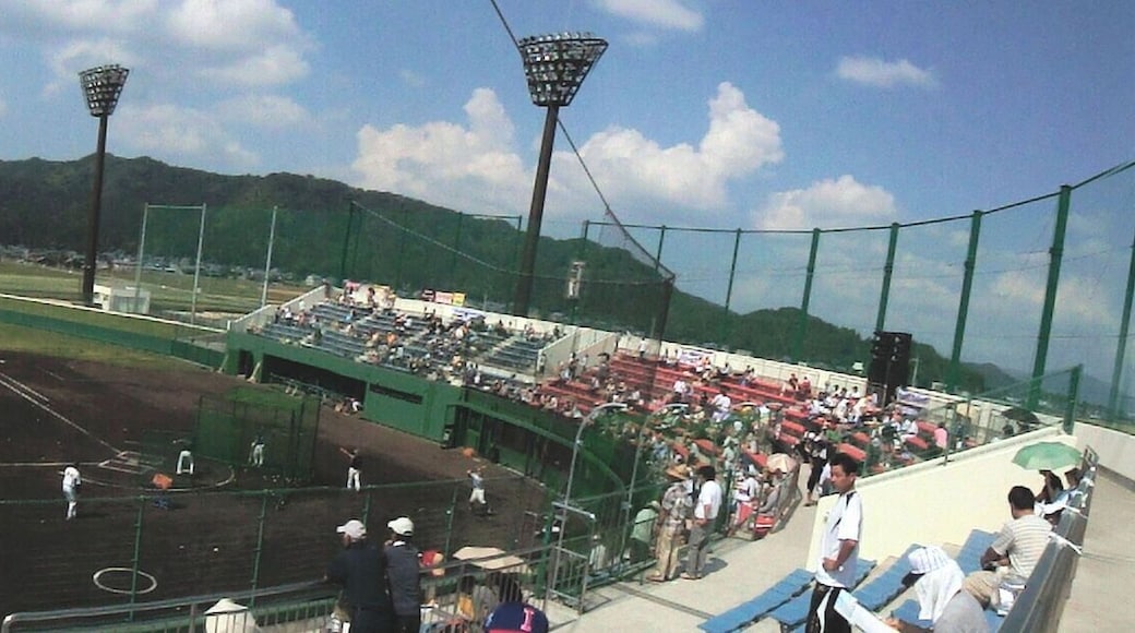 丹南総合公園野球場 パノラマ全景