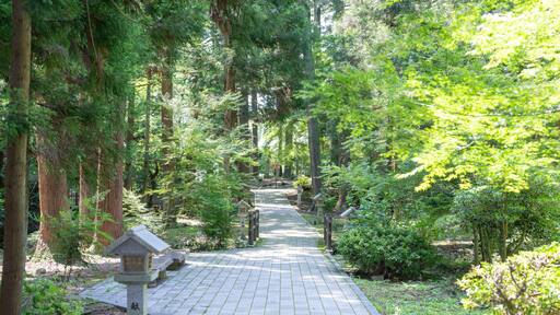福井県越前町にある劔神社を参拝する風景 A view of the Tsurugi Shrine in Echizen-cho, Fukui Prefecture, Japan