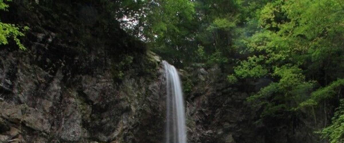 A waterfall cascading down a rocky cliff surrounded by lush greenery.