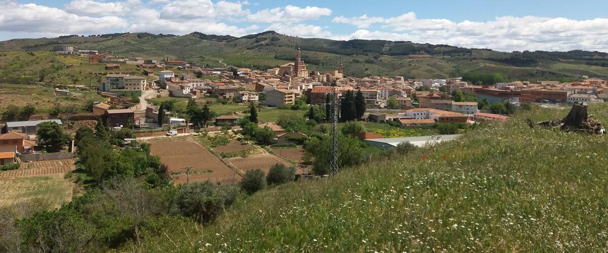A town with a prominent church tower, surrounded by rolling hills and vineyards.