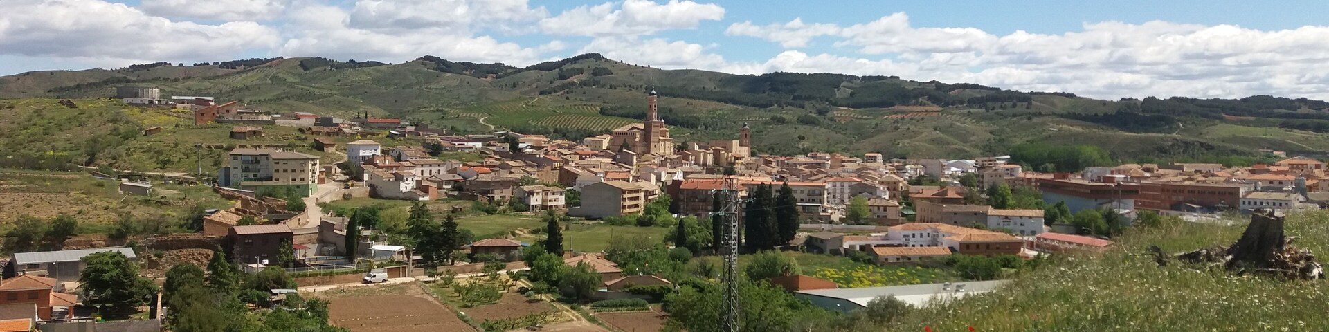 A town with a prominent church tower, surrounded by rolling hills and vineyards.