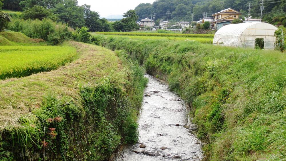 A narrow stream flowing through terraced rice fields, surrounded by lush greenery and traditional houses.