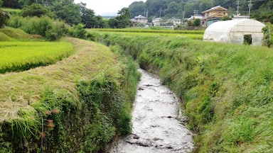 Kitazawa River (Sakuho, Nagano).