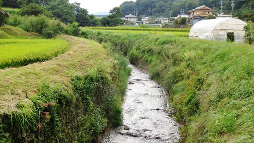 Kitazawa River (Sakuho, Nagano).