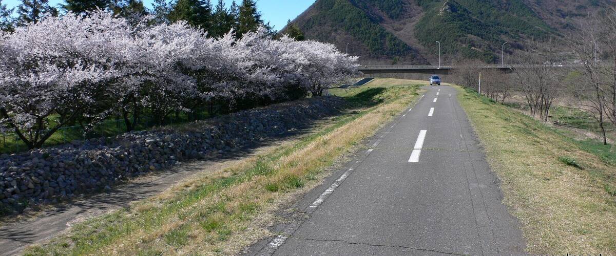 ๅๆฒๅท่ช่ปข่ป้