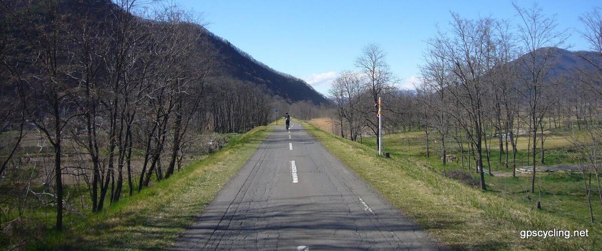 A rural road flanked by leafless trees and mountains under a clear blue sky.