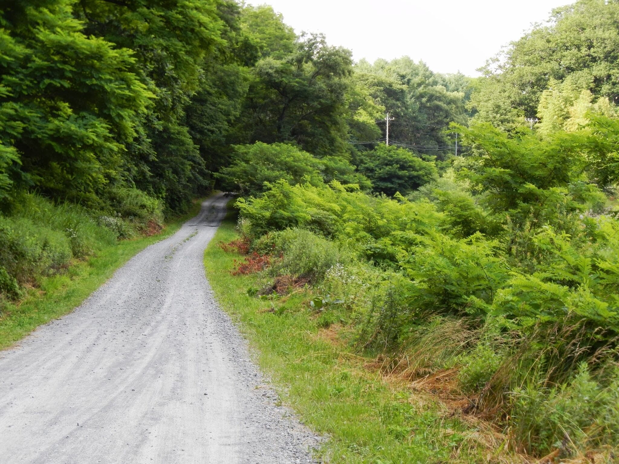 Tatsuzawa, Fujimi, Suwa District, Nagano Prefecture 399-0212, Japan