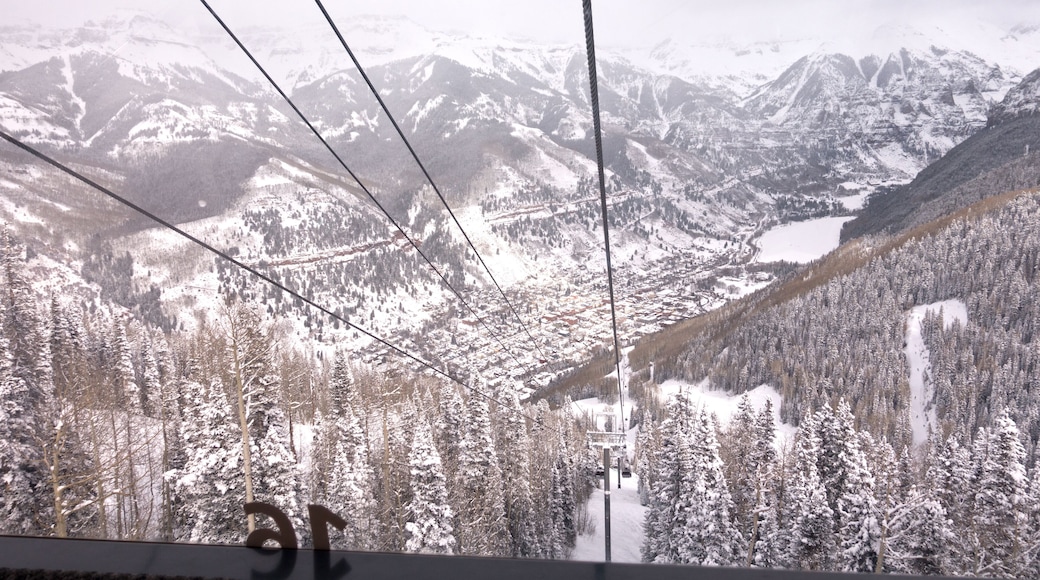 ํ
๋ฃจ๋ผ์ด๋ ํ์คํ ๋ฆญ ๋์คํธ๋ฆญํธ