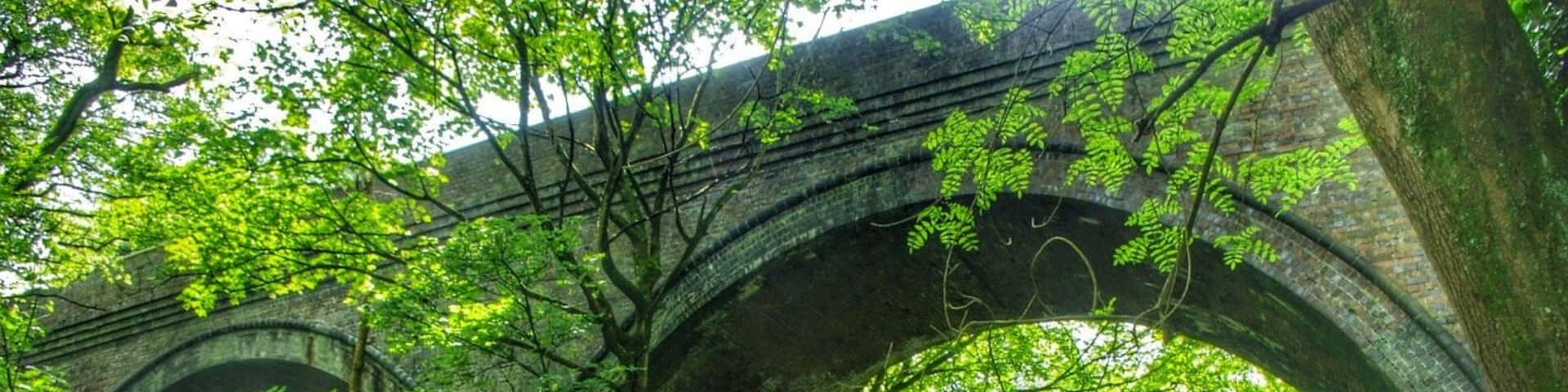 Old railway viaduct
