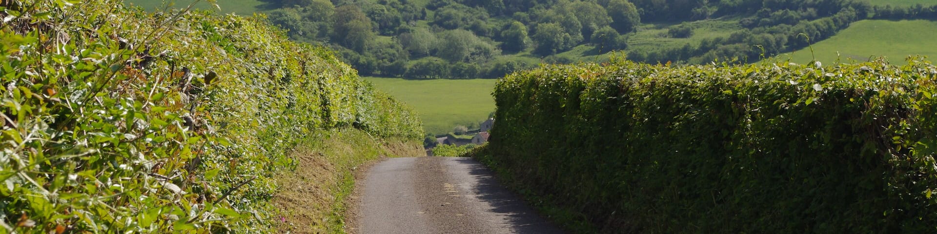 Road