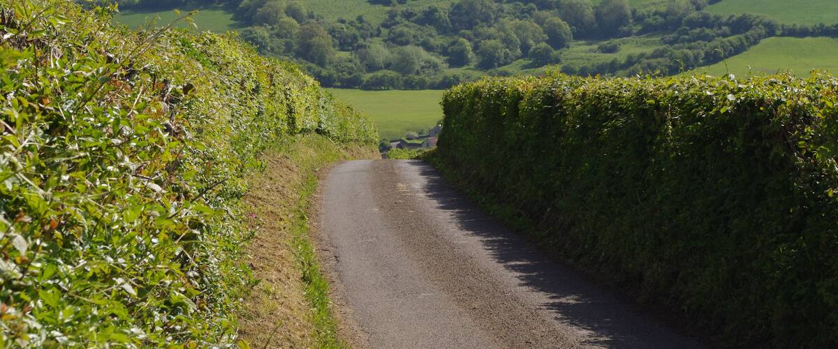 A narrow rural road flanked by dense hedgerows and rolling green hills.