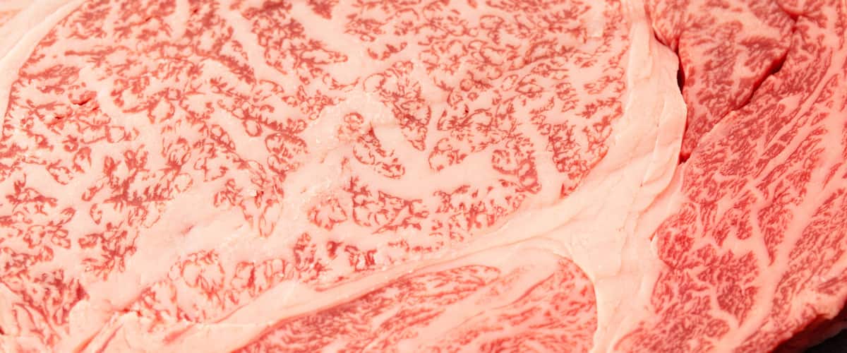 A close-up of a pinkish-red tissue with a distinct pattern.