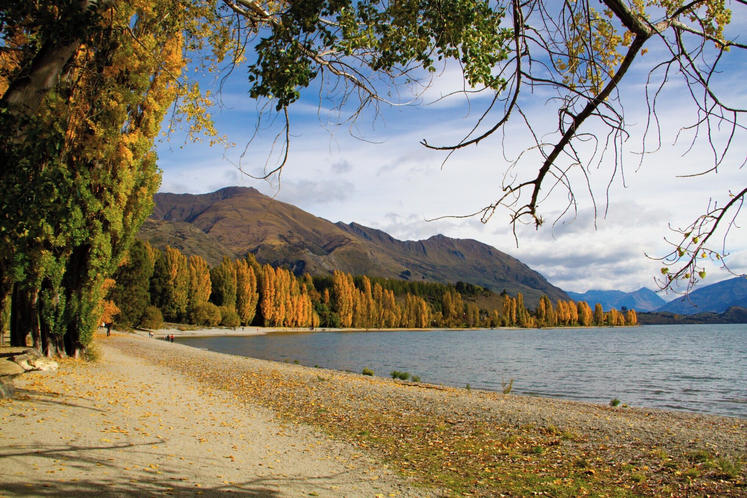 The colours of autumn are starting to show and next month will be the best time to see NZ in all it's autumn colour glory. This photo is from last year overlooking Lake Wanaka. It goes to show that there really is no wrong time to travel New Zealand, every season brings something different.