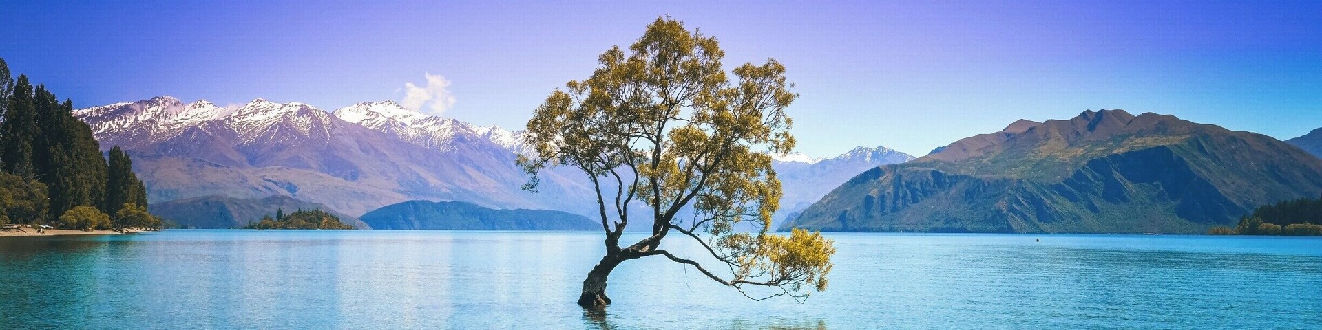 The Lone Tree can be seen right of the Wanaka Lake. It is a tree full of characteristics and a gorgeous scenery surrounding it. The aura around this location and the country is unreal. #BvSApplication