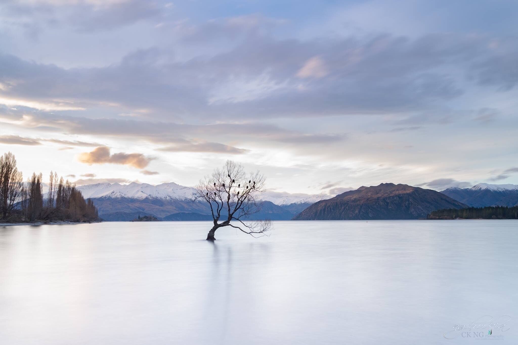 The Tree II Wanaka Lake - NZ
"人生過客匆匆，相機抓住每個剎那，與我擦肩而過的人和事"
