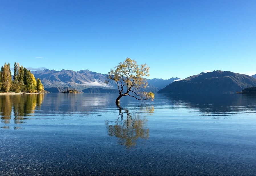 beautiful Lake Wanaka in the peaceful morning. #newzealand #blue