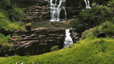 St Clair's Falls, the widest waterfall in Sri Lanka, is also known as Little Niagara of Sri Lanka. It is located among tea gardens and can be seen from the Hatton – Talawakelle Road. It is really a beautiful waterfall embedded among emerald green and gushing across well-defined rocks.
#srilanka #nuwaraeliya #wanderlust #explore #adventure #travel #igtravel #instatravel #vacation #mytravelgram #travelgram #trip #getaway #travelandlife #travelandleisure #asia #throwback #tourist #stclairs #stclairsfalls #tea #scenery #throwback #ig_naturelovers #waterfall #nature #beautiful #water #photogrid
For more of my travel photos, visit my travel blog: http://www.travelpod.com/travel-blog-entries/kurodatenshi/2/1442156437/tpod.html