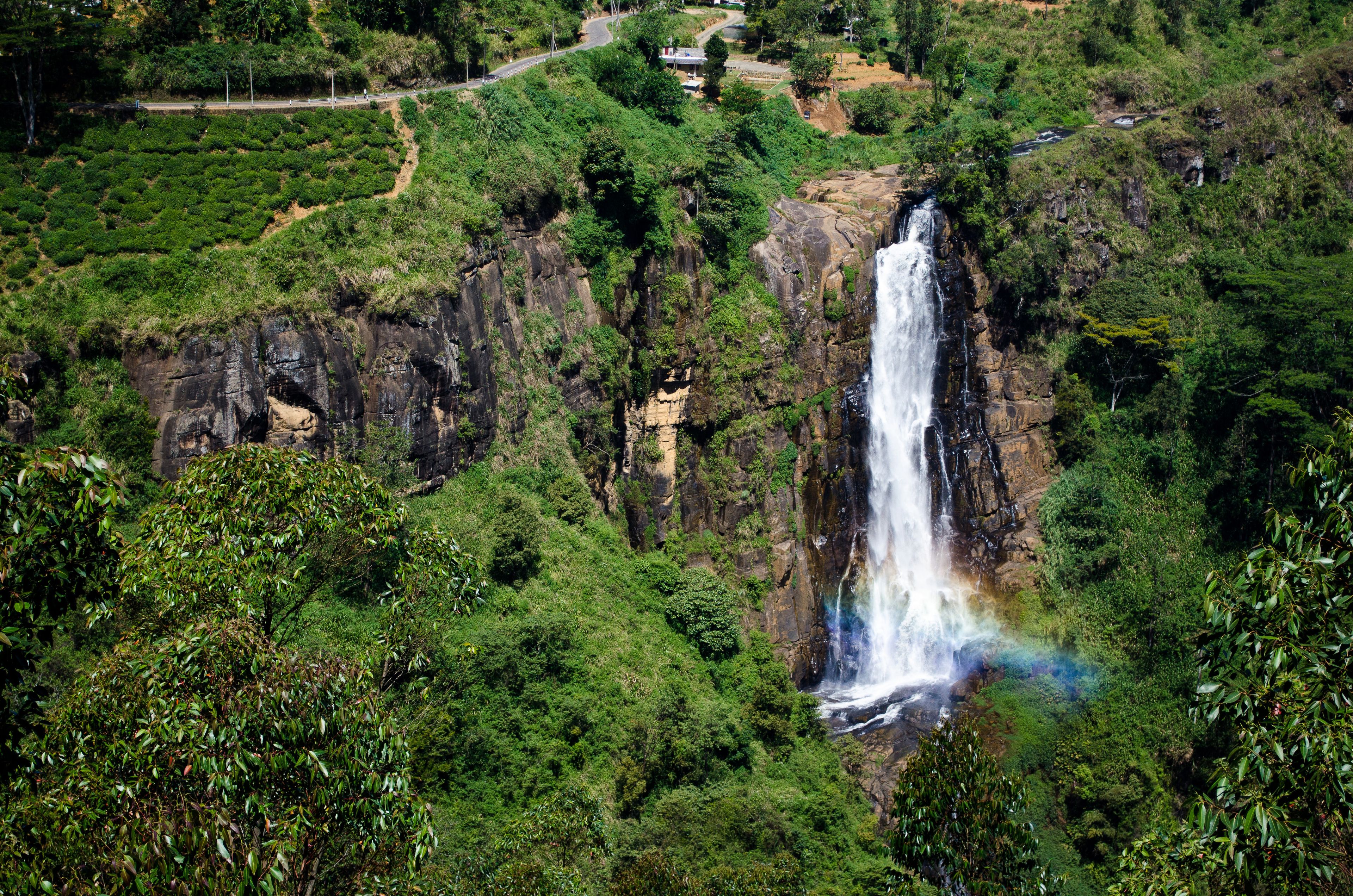A waterfall cascading down a rocky cliff surrounded by lush greenery.