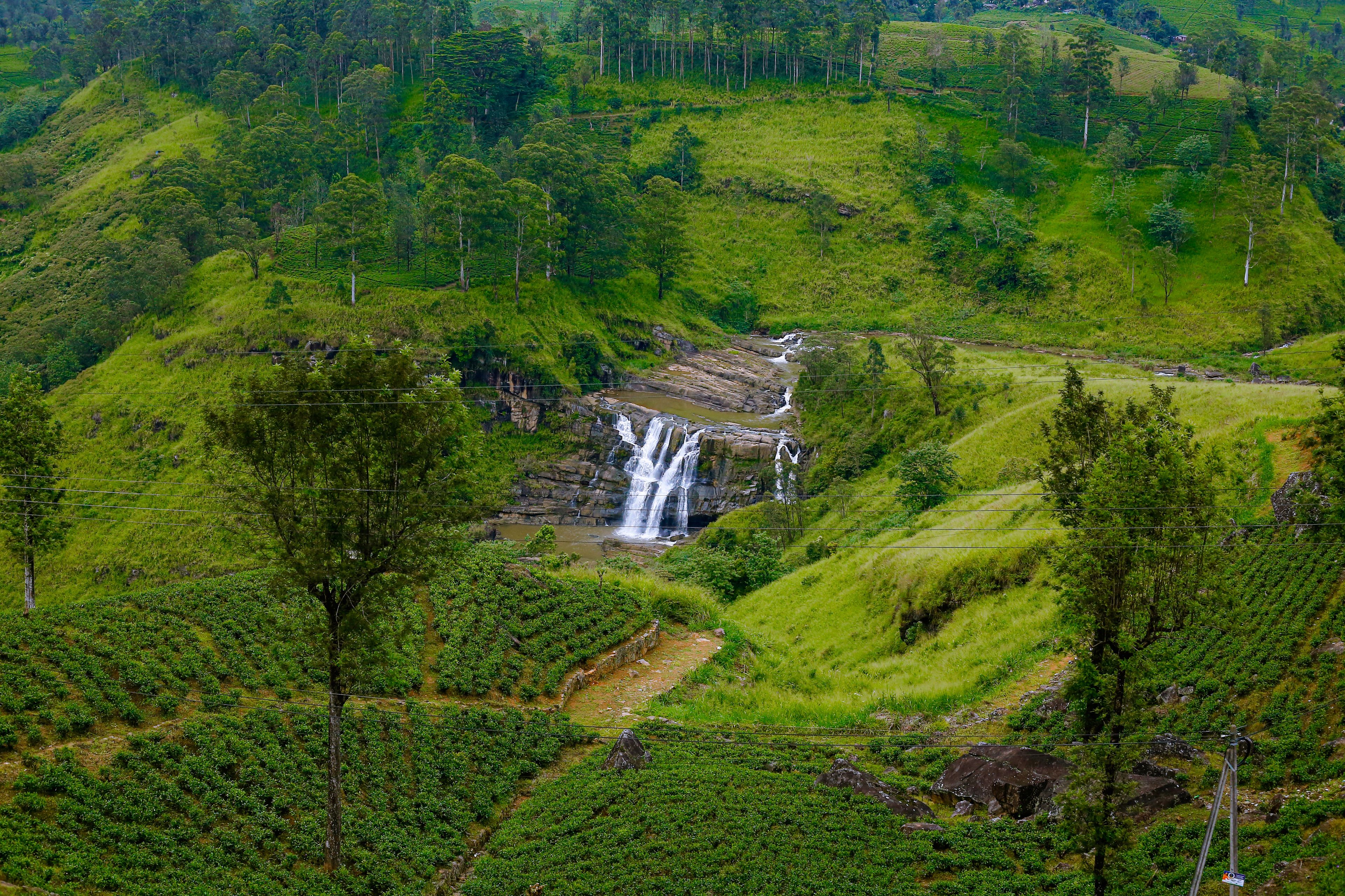A lush green landscape with a waterfall cascading down a rocky slope surrounded by dense vegetation and terraced fields.
