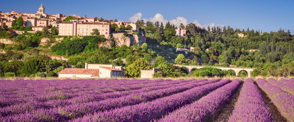 Lavender fields, a historic town, and a bridge.
