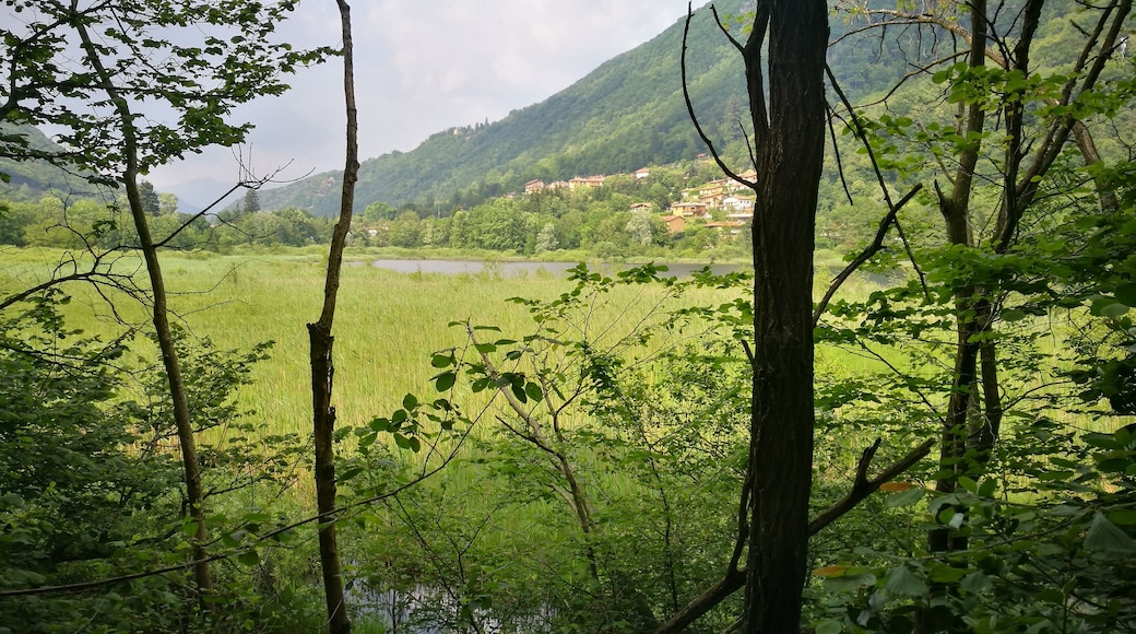 Riserva lago di ganna
