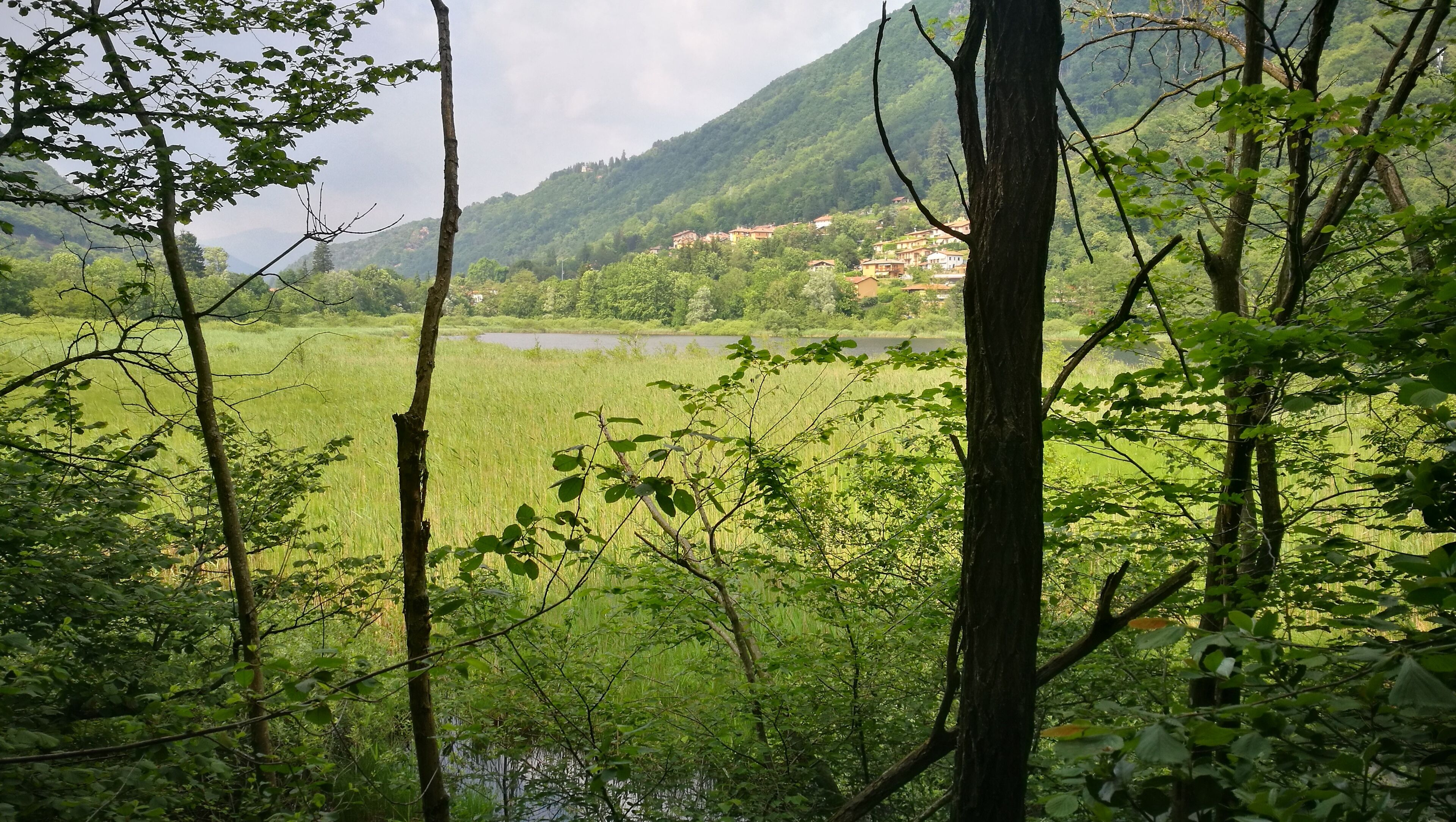 A lush green landscape with a river, dense trees, and a distant village on a hillside.