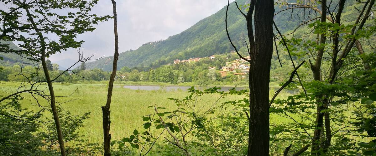 A lush green landscape with a river, dense trees, and a distant village on a hillside.