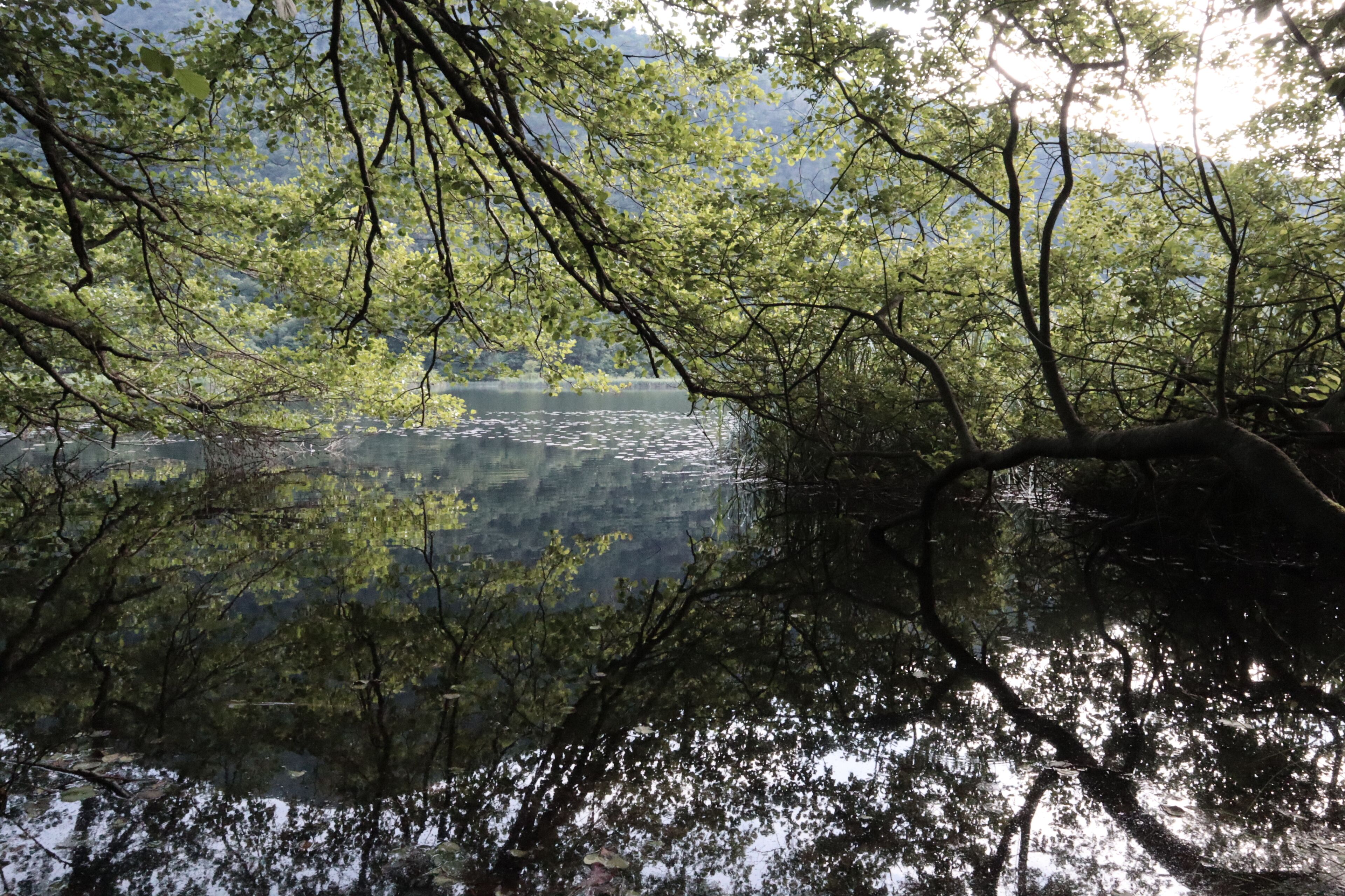 Parco regionale Campo dei Fiori (Q3895722)