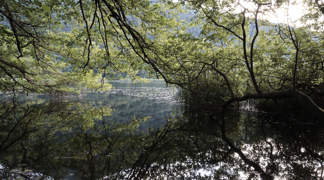 Parco regionale Campo dei Fiori (Q3895722)