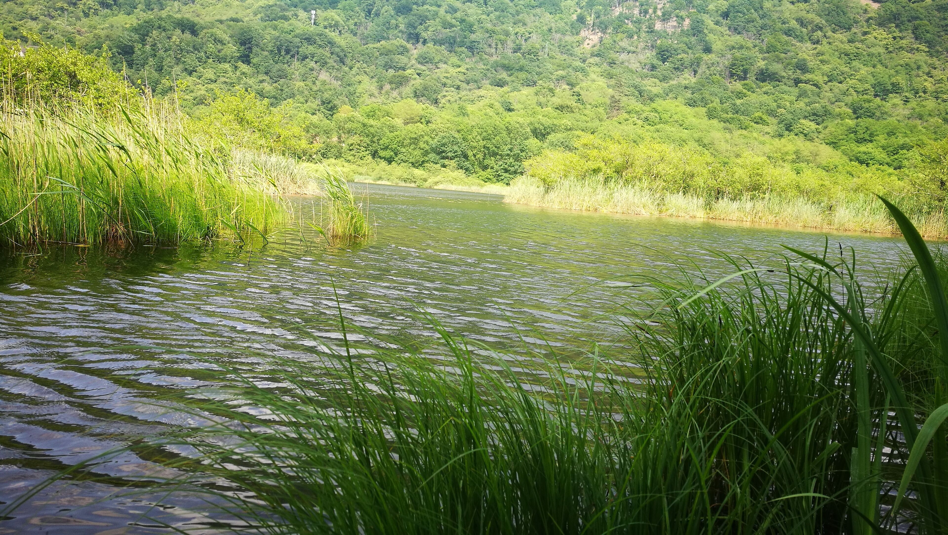 Foto scattata dalla riva del lago.