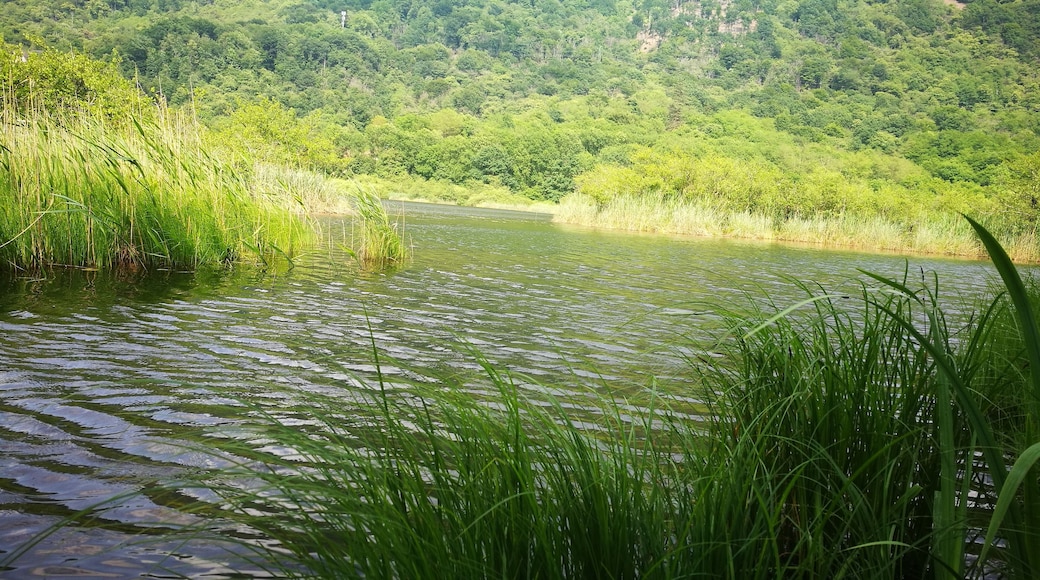 Foto scattata dalla riva del lago.