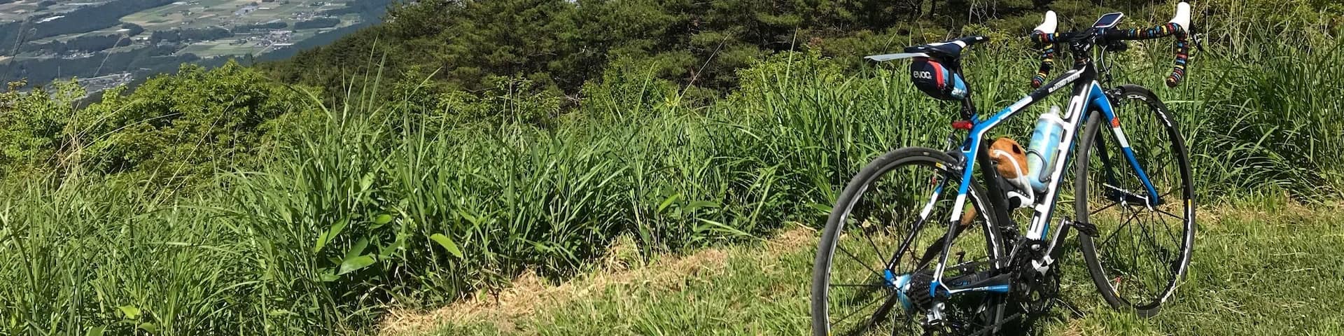 ここまでの坂がきつい