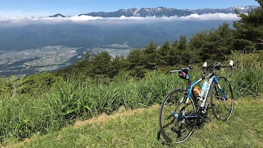 ここまでの坂がきつい