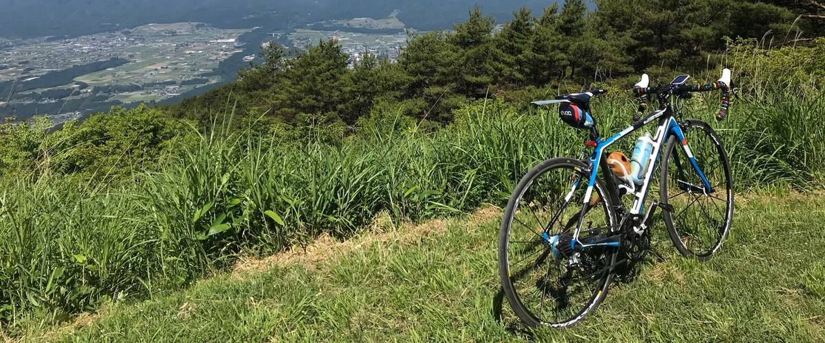 A mountain bike parked on a grassy hillside overlooking a valley with a town and snow-capped mountains in the distance.