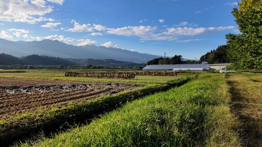 A rural landscape with fields, a white building, and mountains in the background.