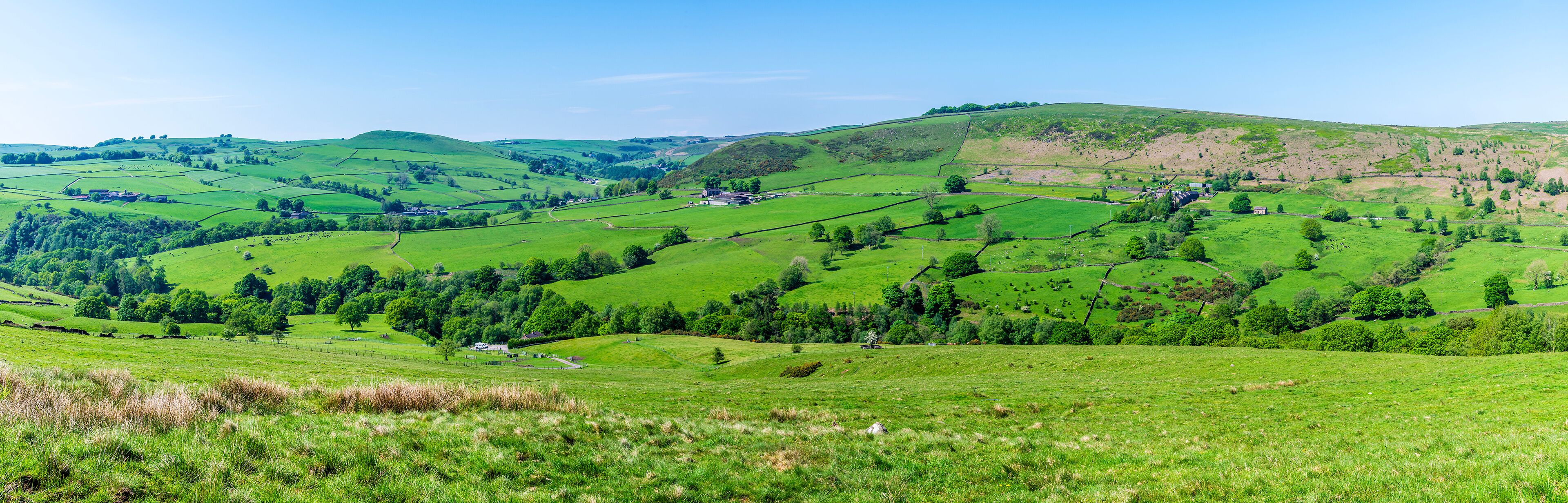 Rolling green hills, scattered trees, and a few buildings in a rural landscape.