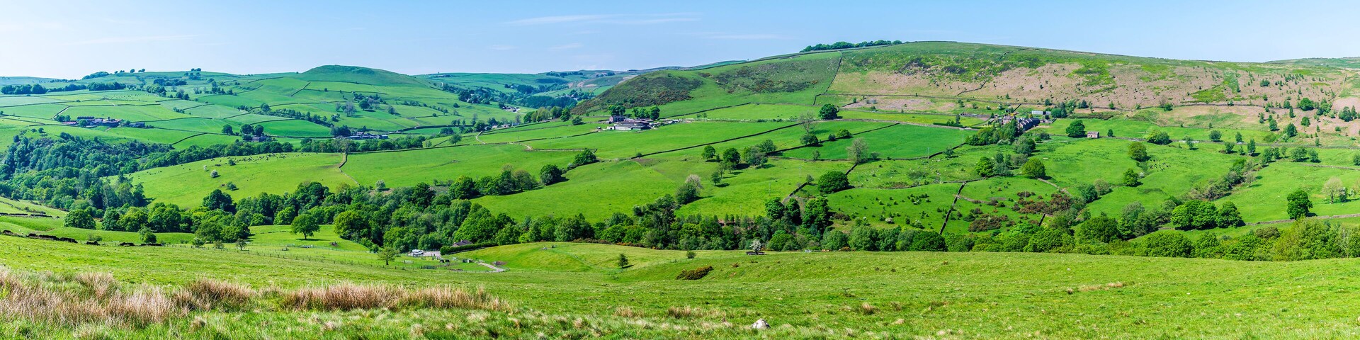 Rolling green hills, scattered trees, and a few buildings in a rural landscape.